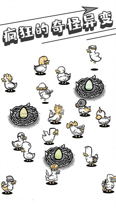 母鸡下蛋截图3