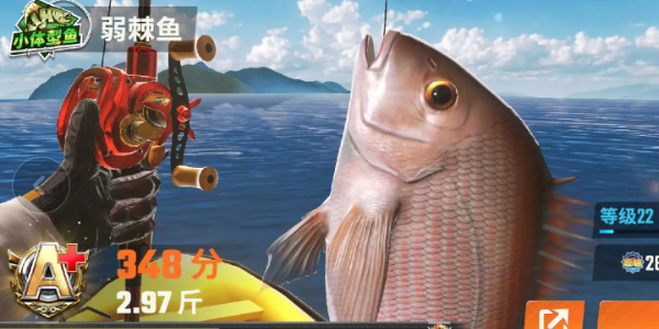 欢乐钓鱼大师鱼类有哪些 欢乐钓鱼大师鱼类图鉴大全图7