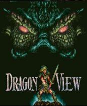 Dragonview 英文免安装版