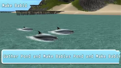 海洋海豚模拟器安卓版