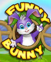 搞笑兔子：冒险 游戏库