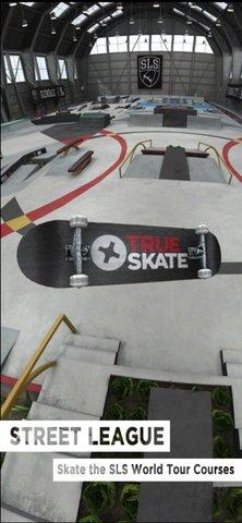 True Skate汉化版