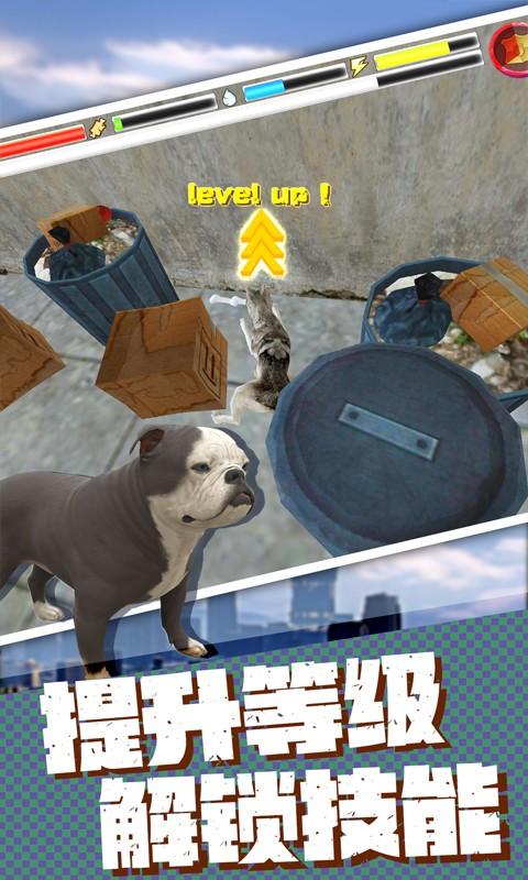 流浪狗生存模拟器 中文版