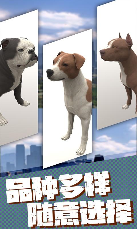 流浪狗生存模拟器 中文版