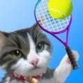 猫咪网球官方版