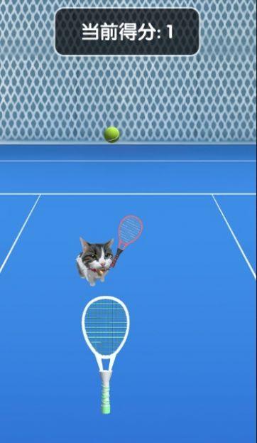 猫咪网球官方版