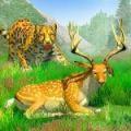 丛林狩猎动物正式版