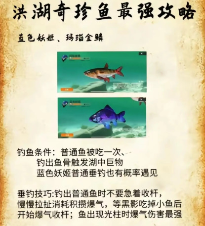 欢乐钓鱼大师洪湖最后两条鱼在哪 洪湖最后两条鱼位置和垂钓技巧一览图4